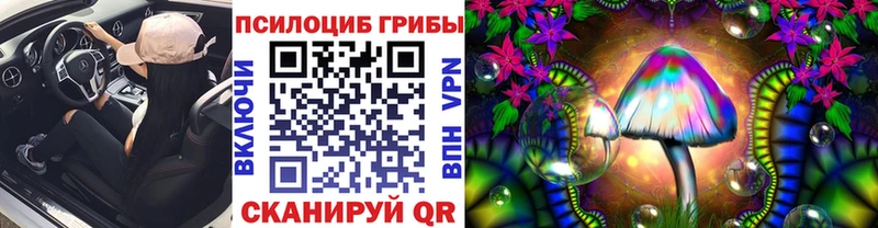 даркнет наркотические препараты  Константиновск  Галлюциногенные грибы Psilocybe 